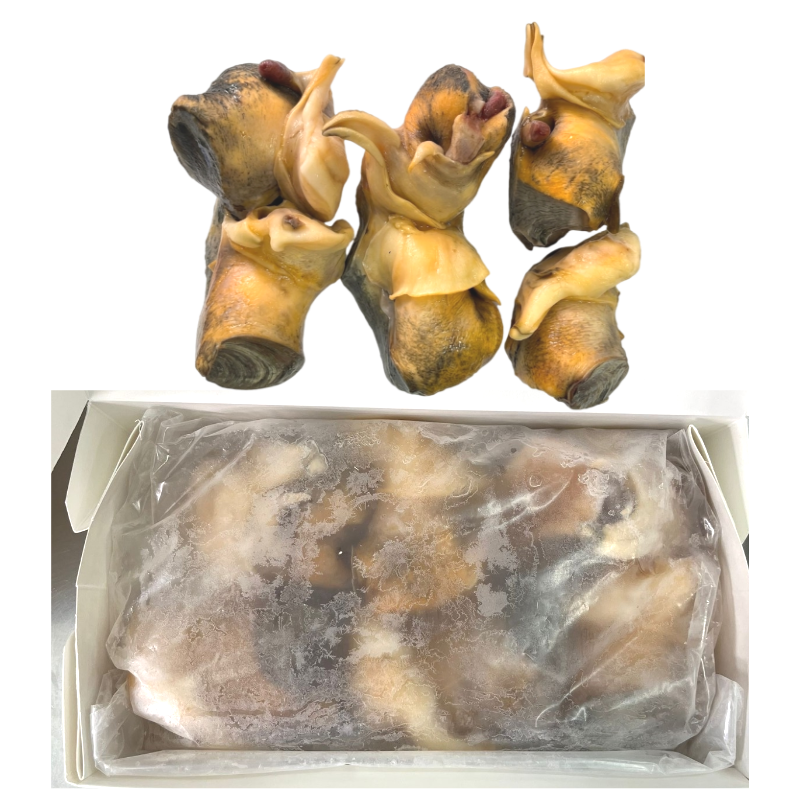 US Chesapeake Wild Whelk (M size, 5-7 pcs/lb, 3 lb/box)