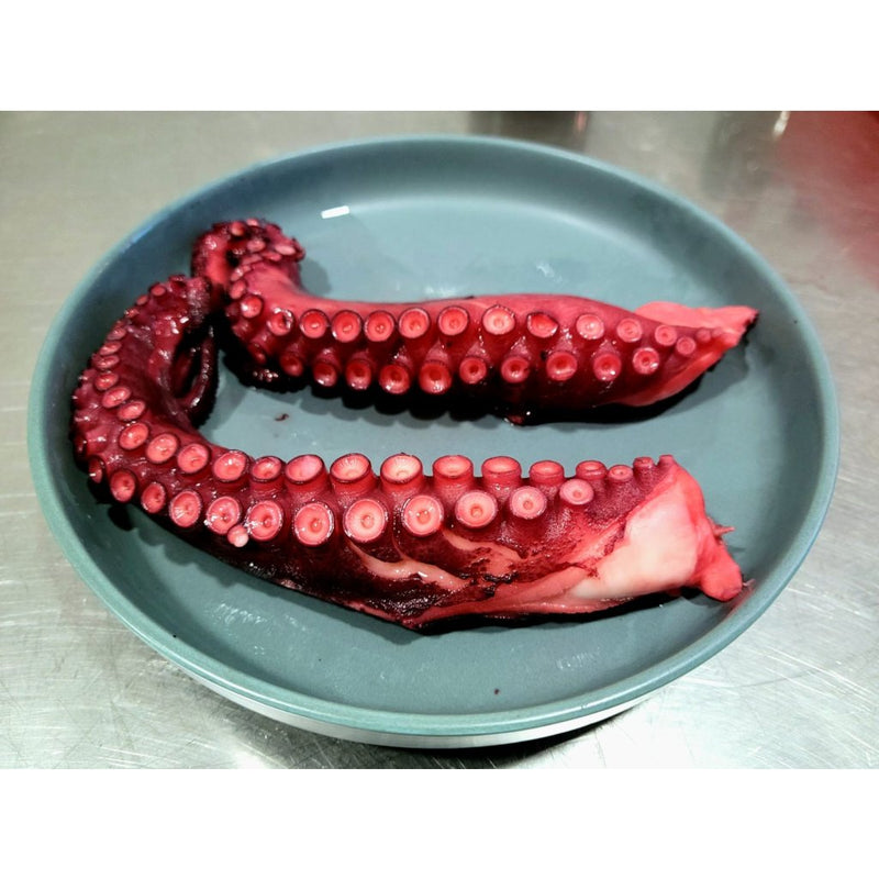 Spain A Pulpeira Wild Cooked Octopus Tentacles (approx. 175g)-2
