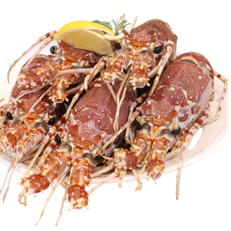 Portugal FRIP Whole Raw Wild Lobster (approx. 4-5 pieces per box) 1500g (Frozen)-1