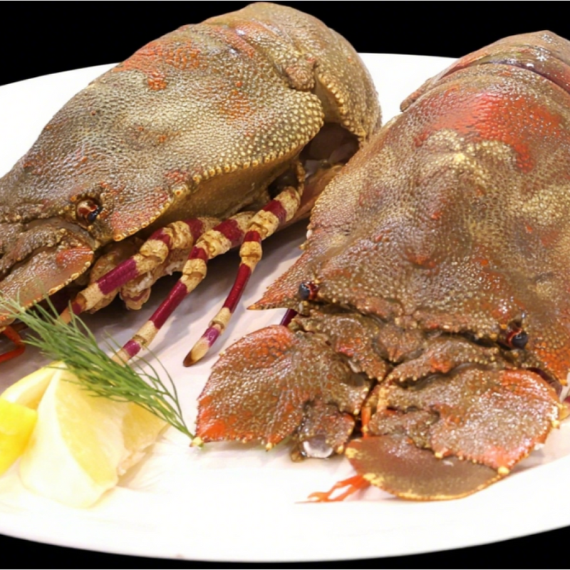 Portugal FRIP Whole Wild Slipper Lobsters 600g (Approx. 2 pcs) (Frozen)-1