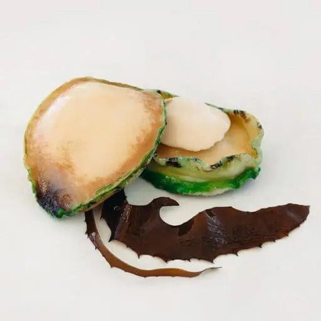 Australian Eyrewoolf Premium Wild Greenlip Abalone (2-3 pieces/lb）(Frozen)