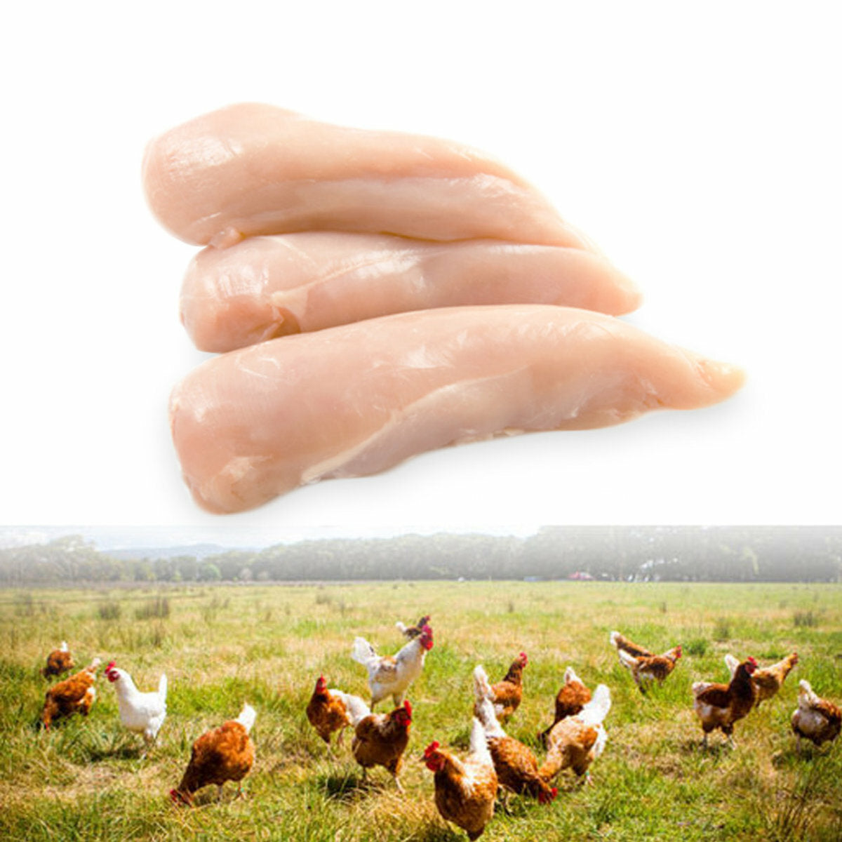 New Zealand Natural Free Range Chicken Tenderloins 400g