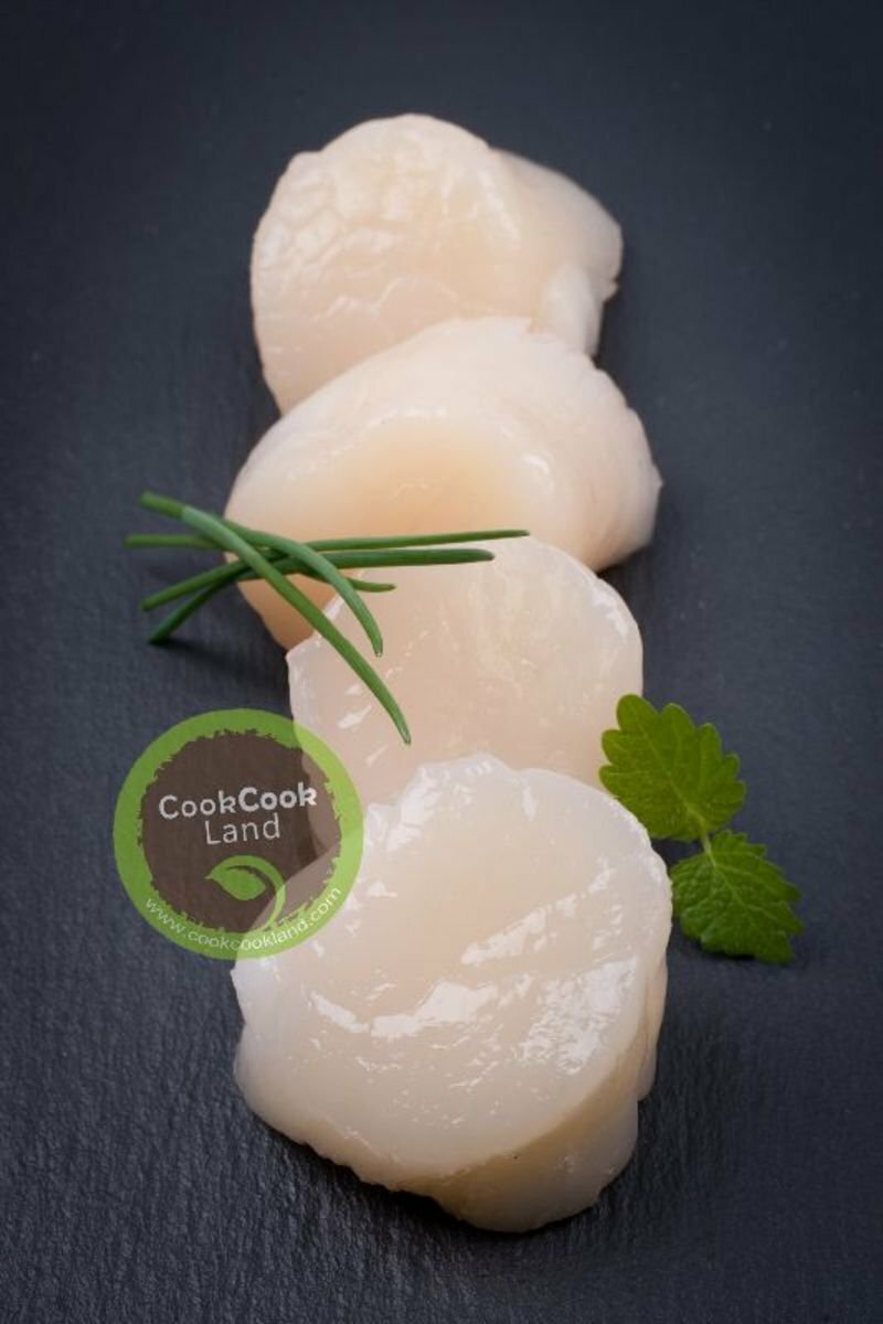 US Scallop IQF (10/20) 454g