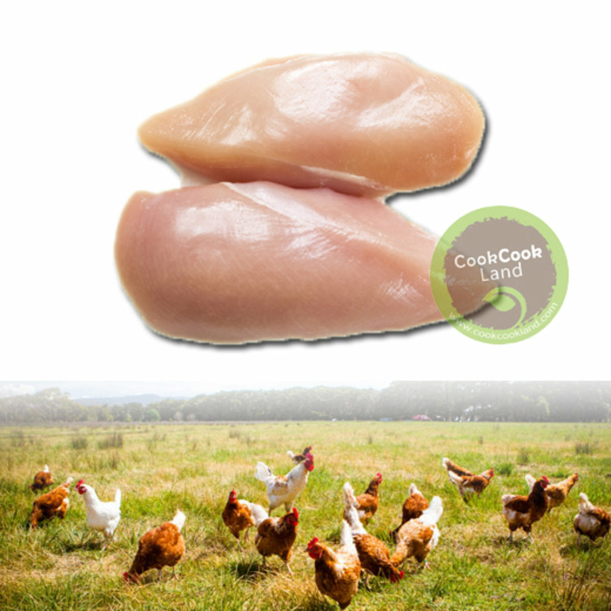 New Zealand Free Range No Added Hormones Chicken Breast (Skinless) 400g