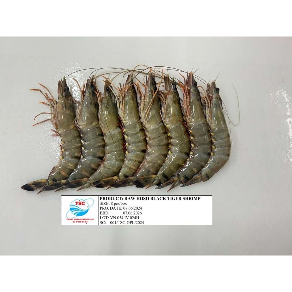 Vietnam SEA POWER Grade A Jumbo Whole Head-On Tiger Prawns (8 Count Pack) 500g