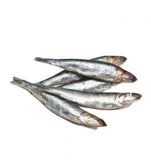 Norwegian Capelin (8-10 pcs) 170g