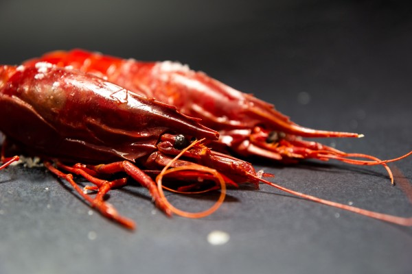 西班牙Buba Camaron 野生刺生級特大紅蝦 1kg+（約 5/7隻）-2
